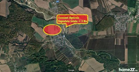 Teren Agricol Tinosu Brazi Suprafata Totala 11ha 0 In Brazi
