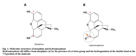 Stability of Hydromorphone Hydrochloride and Morphine under Different ...