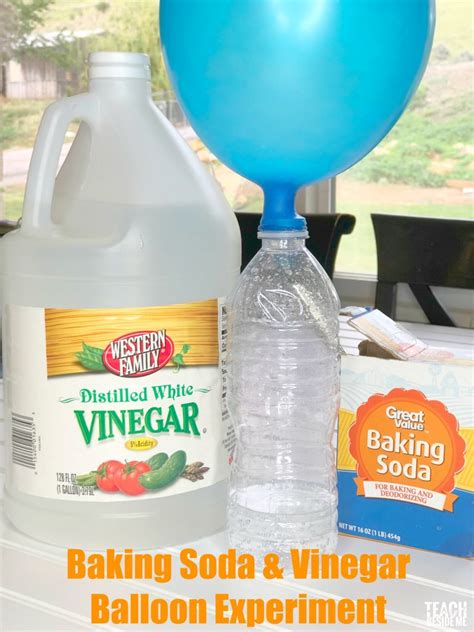 Self Inflating Balloon Baking Soda And Vinegar Balloon Experiment