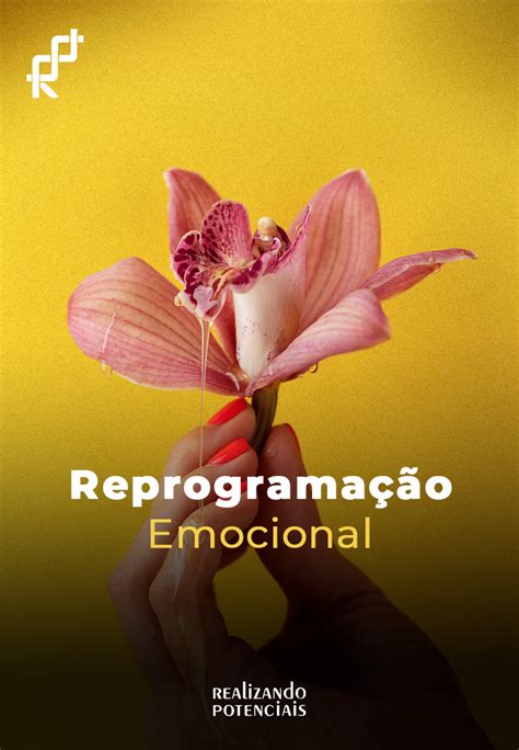 Reprogramação Emocional Realizando Potenciais Cursos e Treinamentos