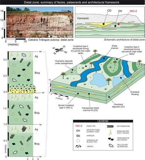 Summary Model Depicting The Typical Vertical And Lateral Sedimentary