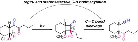 PUBLICATIONS | INOUE RESEARCH GROUP