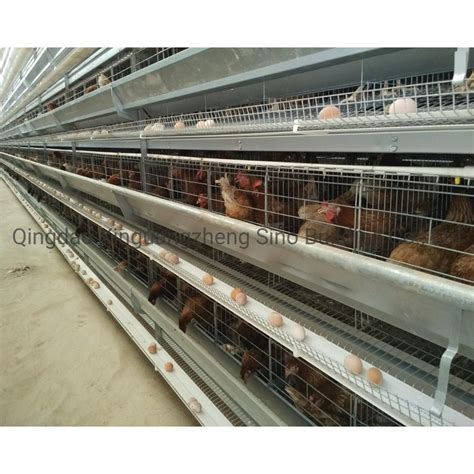 Low Cost Easy Install Prefabricated Steel Structure Poultry Chicken