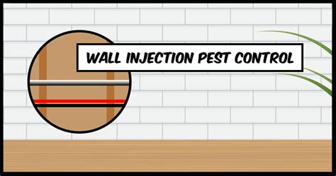 Wall Injection Pest Control Pestmax® Pest Control Blog