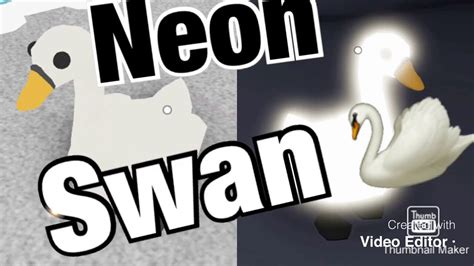 Roblox Adopt Me Making A Neon Swan Youtube