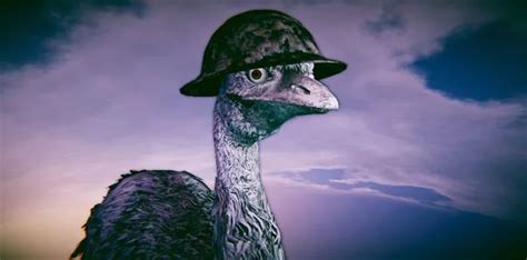 The Great Australian Emu War of 1932 - The Fact Site