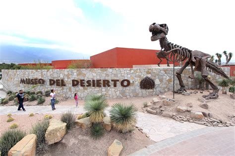 Museo Del Desierto En Coahuila Turimexico