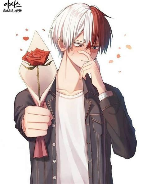 Shoto Todoroki Smile Aesthetic - Kristins Traum