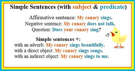 English Sentence Structure