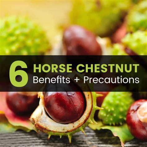 What is horse chestnut extract used for?