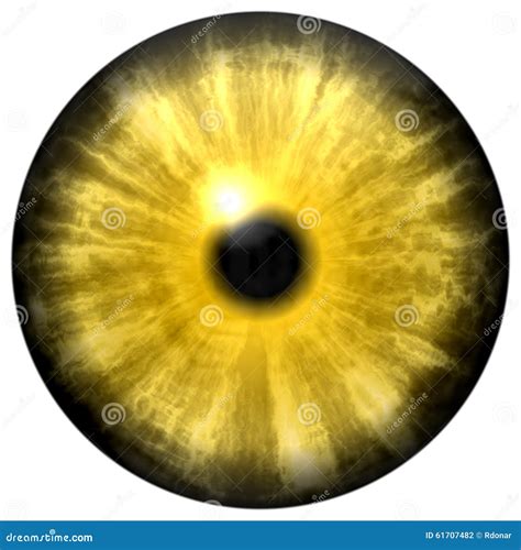 Small Iris Flowers Vector Illustration 30691808