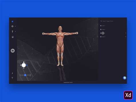 Human Anatomy Desktop App By Yudiz Solutions Pvt Ltd Dribbble