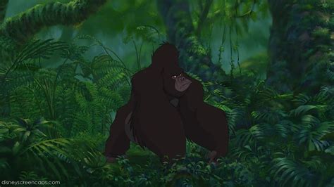 Image Tarzan 6395 Disneywiki