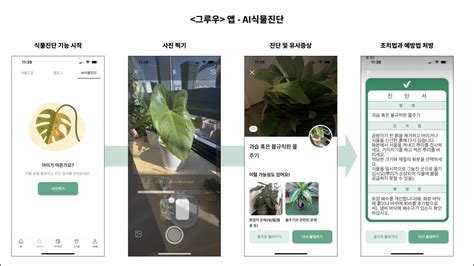 반려 식물 플랫폼 부상ai가 전문 관리 지원 비맥스테크놀로지