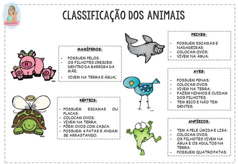 Classifica O Dos Animais Classifica O Dos Animais Atividades Sobre