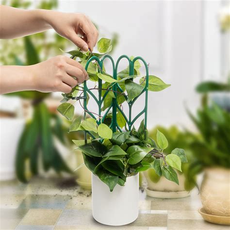 Arlmont & Co. Indoor Climbing Plant Trellis - Wayfair Canada
