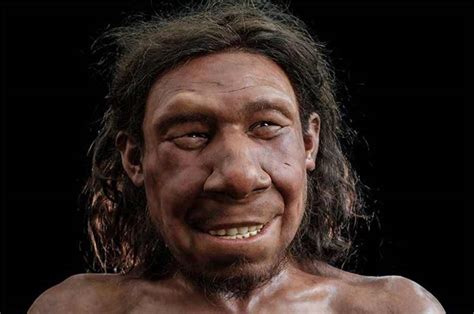 Rosto de Neandertal que viveu há mais de 50 mil anos foi reconstruído