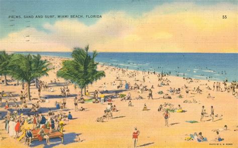 Postcard Palms Sand And Surf Miami Beach Florida Sand Water Sunbathers Palms Ebay