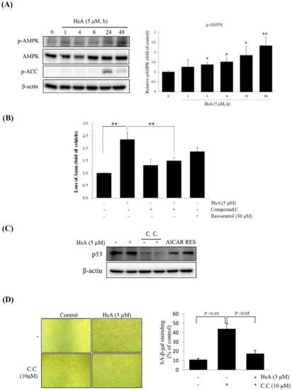 Biomolecules Free Full Text Hemistepsin A Inhibits Cell