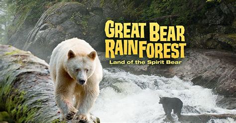 Great Bear Rainforest