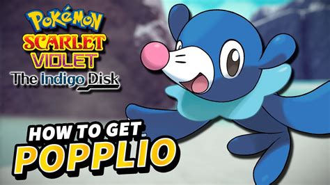 Pokemon Scarlet Violet How To Get Popplio The Indigo Disk Dlc Youtube