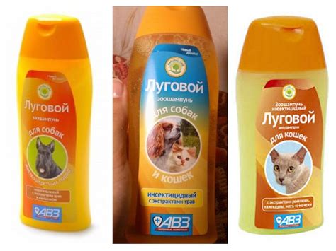 Луговой шампунь от блох: отзывы и инструкция по применению