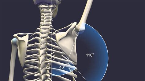 Scapulohumeral Rhythm Youtube