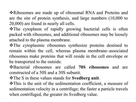 Bacterial Cytology Ribosomes Chromosomal And Extrachromosomal Material Ppt