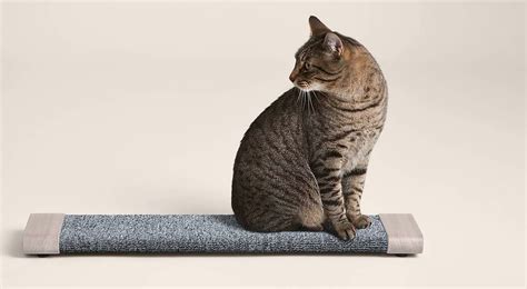 16 Modern Cat Scratchers For Well Designed Spaces
