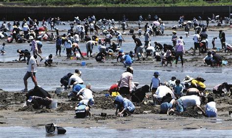 御殿場海岸、にぎわい戻る 県内外から観光客急増：中日新聞web