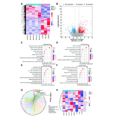 The Rna Sequencing Analysis Revealed That The Monocrotaline Induced Pah