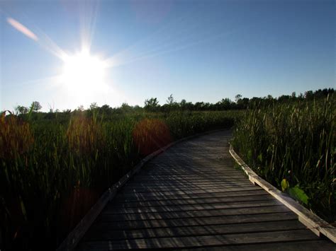 The Park Next Door - Kohler Andrae State Park - Sheboygan, WI