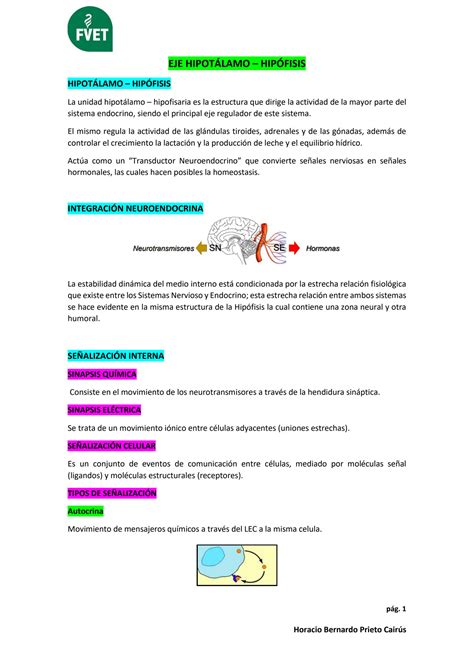 Solution Eje Hipot Lamo Hip Fisis Studypool