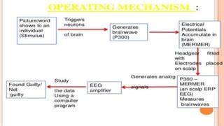 Forensic Techniques And Crime Scene Investigation Ppt