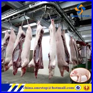 Slaughter Pig Abattoir Slaughterhouse Reverse Case Equipment Machinery