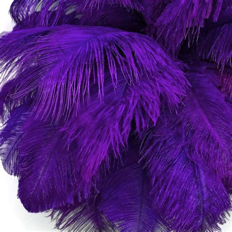 Purple Feathers - Etsy