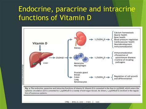 Vitamin D And Heart Disease Ppt