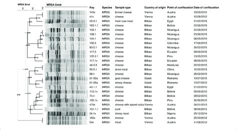 Genetic Relationships Among The Smai Pulsed Field Gel Electrophoresis