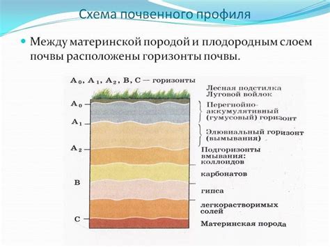 Как нарисовать почву