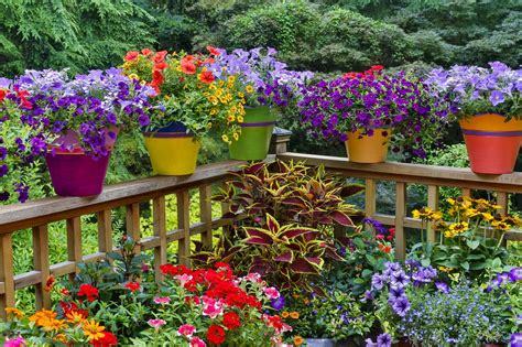 Colorful Pots On Our Deck 화단