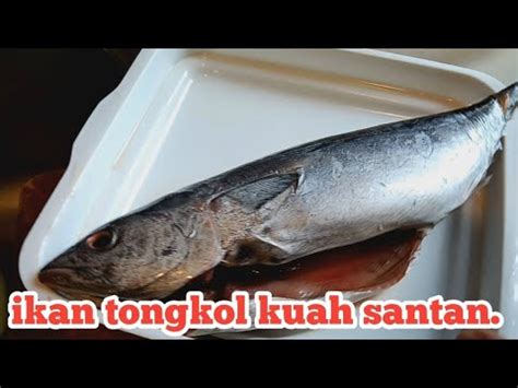 Cara Masak Ikan Tongkol Kuah Santan Youtube