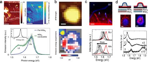 Near Field Optical Imaging And Spectroscopy Of D Tmds