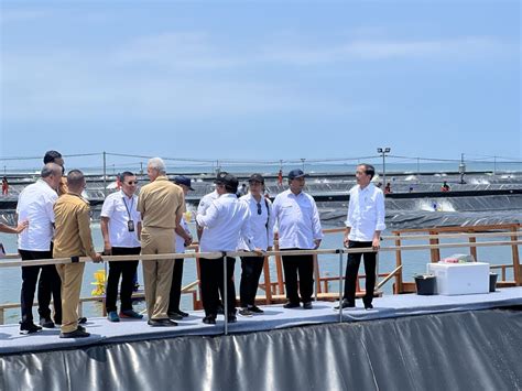 Foto Resmikan Tambak Budidaya Udang Di Kebumen Presiden Bisa