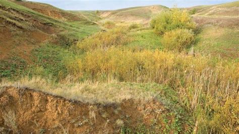 Steppe | grassland | Britannica