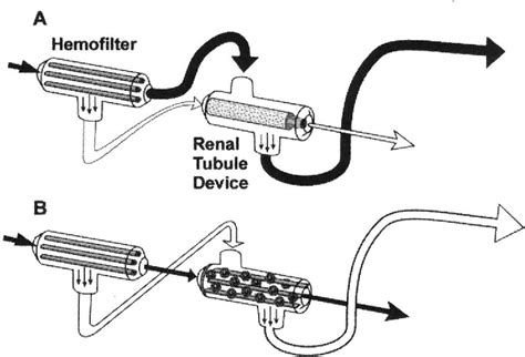 Table 3 From Design Engineering Of A Bioartificial Renal Tubule Cell Therapy Device Semantic