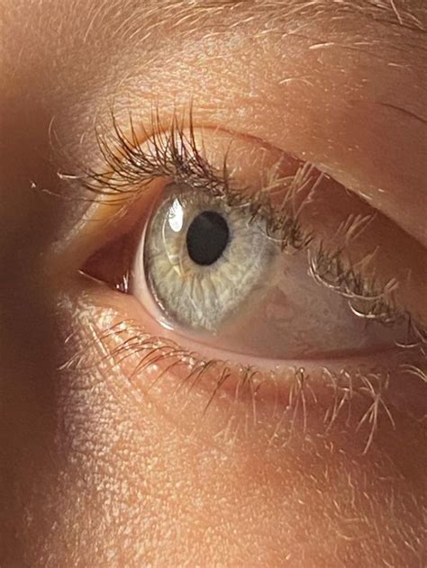 My Eye 😍🥴 Aesthetic Eyes Eye Photography Eyes Espressioni Del Viso Viso Occhi