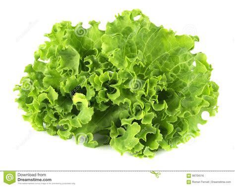 Folha Da Salada Alface No Fundo Branco Foto De Stock Imagem De