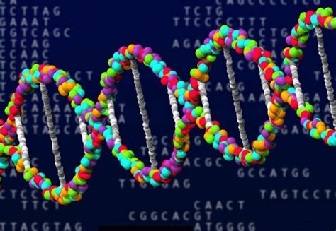 Gene gay Lo studio conferma nel DNA ne esiste più d uno Gay it