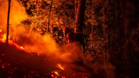 Kampf gegen Flammen Waldbrände halten Portugal und Spanien in Atem