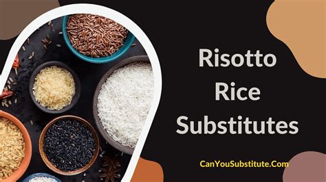 An Ultimate Guide On Risotto Rice Substitutes What Is The Best